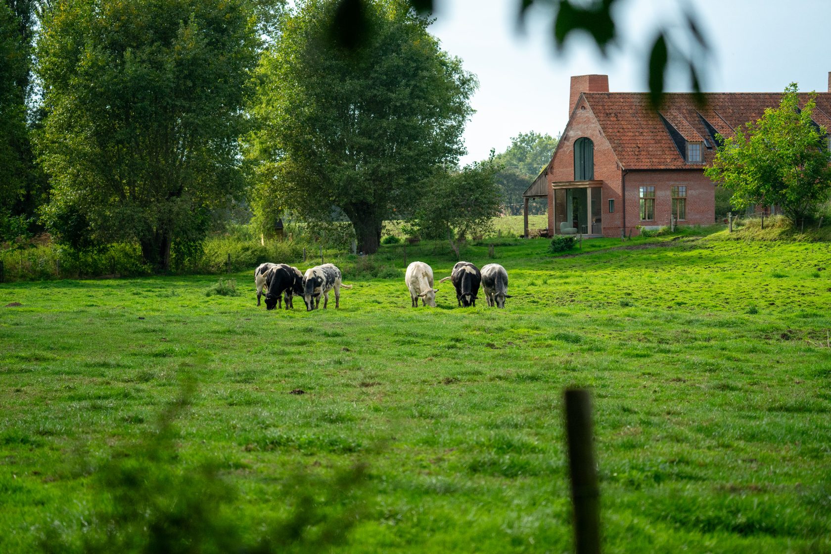 de Achterhoek — coulisselandschap